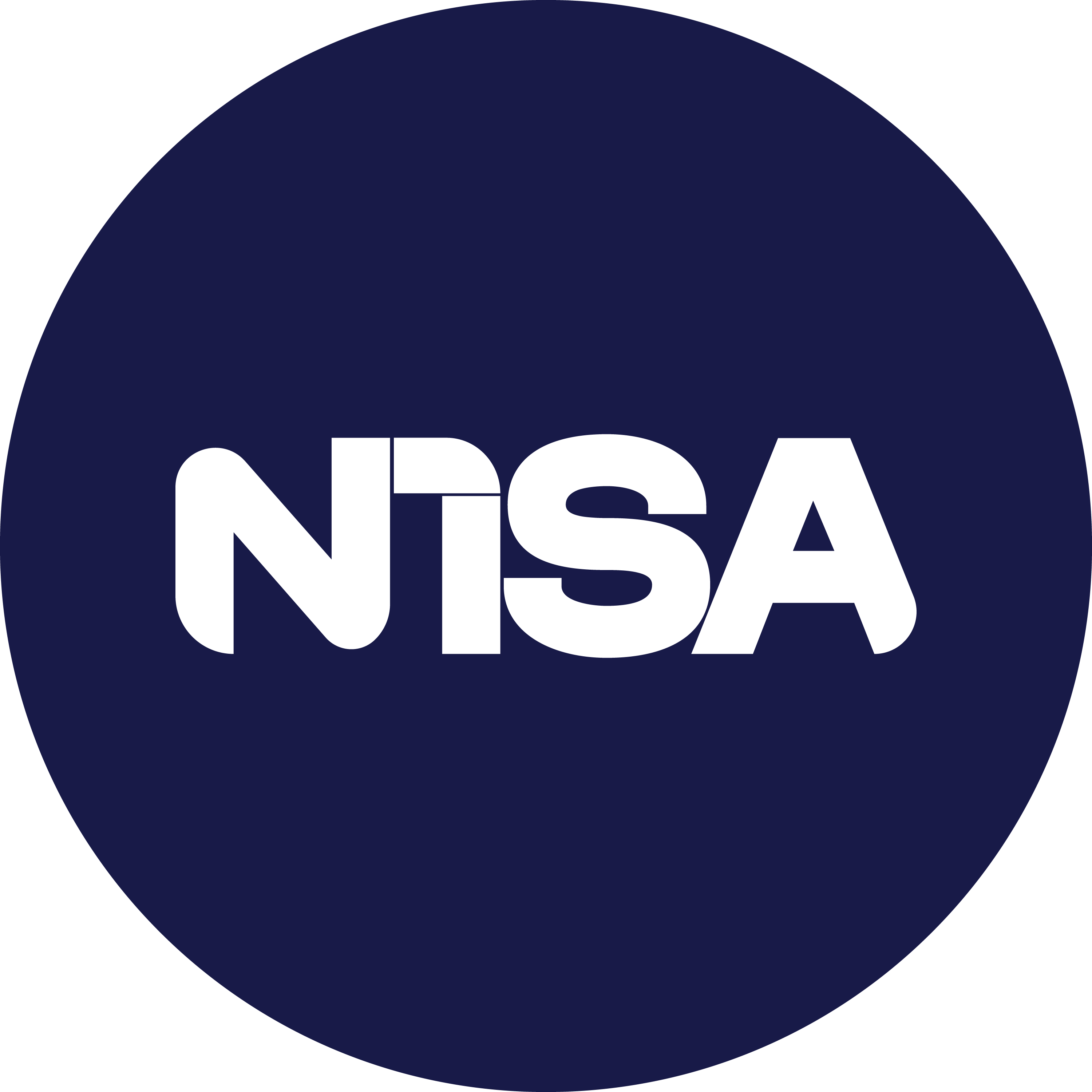 Nisacar_Logo_Blue_Branding